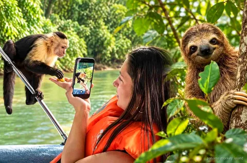 Rescued sloth at Gamboa Sloth Sanctuary on the Monkey Island combo tour
